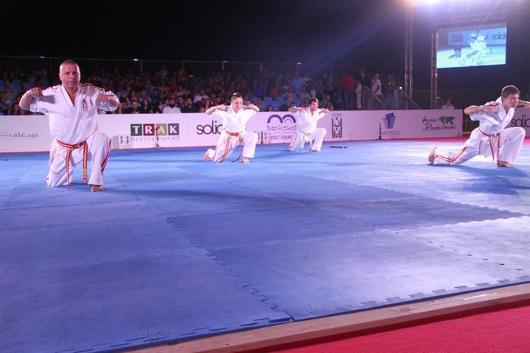 Martial Arts Festival